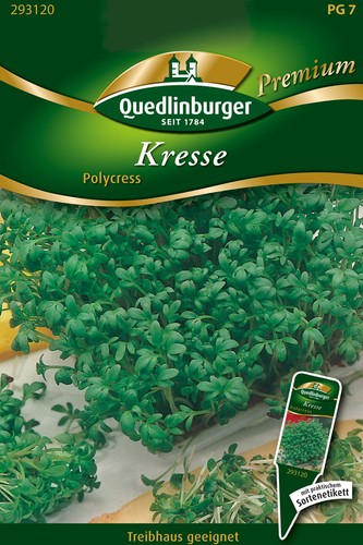 Quedlinburger kresse polycress - kresse,